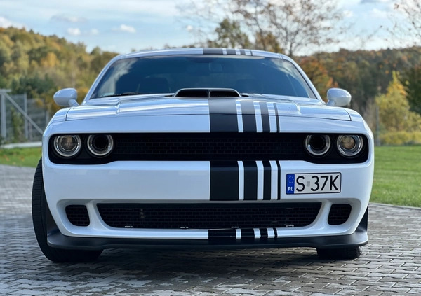 Dodge Challenger cena 164000 przebieg: 48000, rok produkcji 2019 z Katowice małe 781